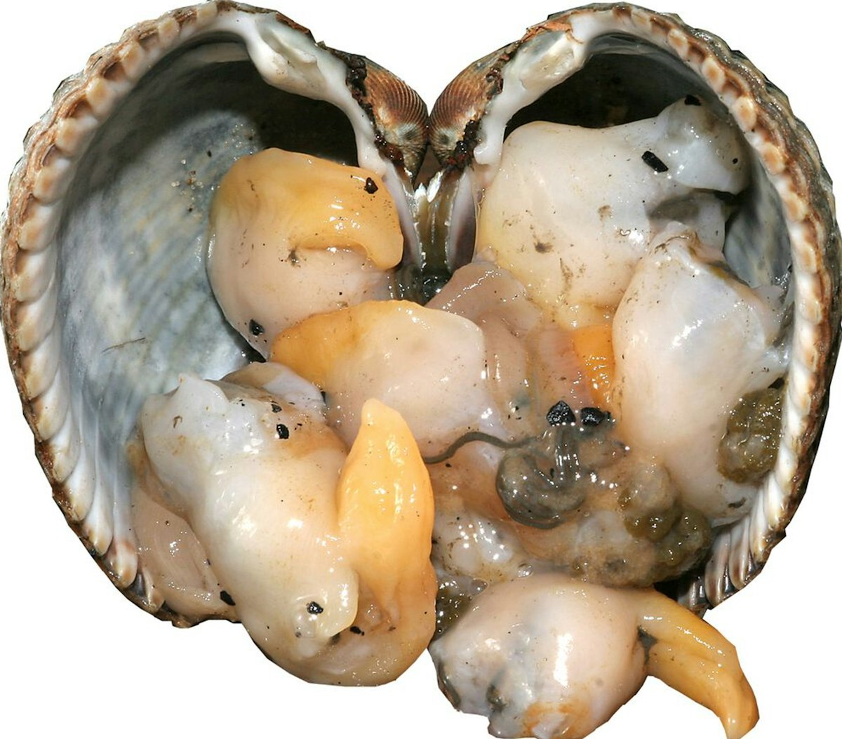 Weird fishing baits that are well worth a cast Angling Times